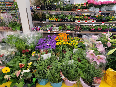 Canadian Tire Garden Centre