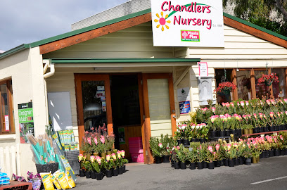 Chandlers Nursery