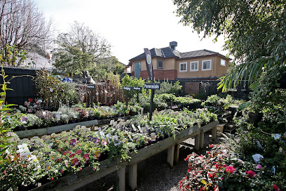 Town & Country Gardens