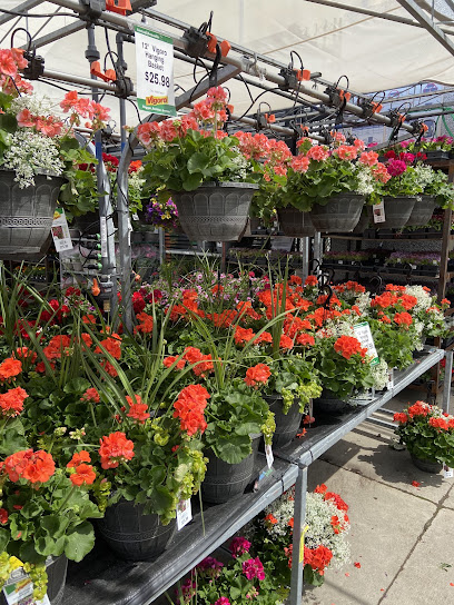 Outdoor Garden Centre at The Home Depot
