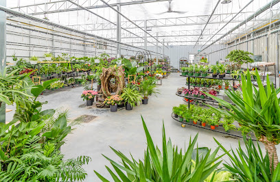 Classic Gardens - Ellerslie
