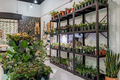 Sprout Calgary Plant Store