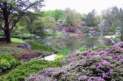 Japanese Garden