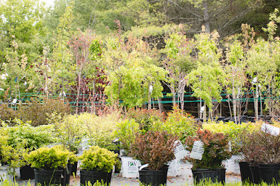 Carp Garden Centre