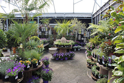 Doyle's Nursery & Garden Centre