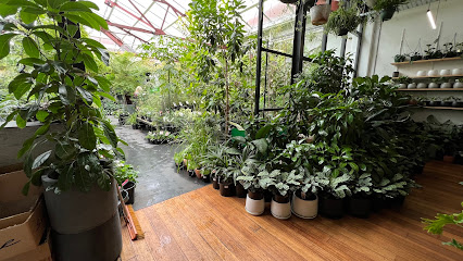 Lygon St Nursery & Landscapes