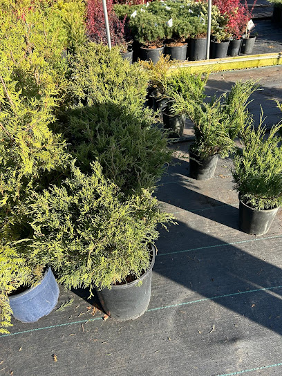 Blue Grass Nursery, Sod & Garden Centre - Edmonton