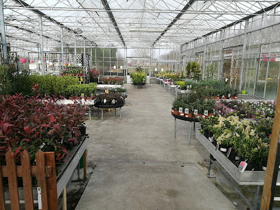 McGaughs Garden Centre