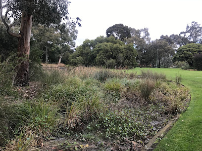 Australian Native Garden