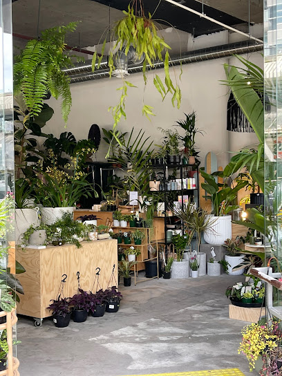 Botanicah South Yarra