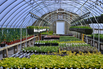 Arch Greenhouses