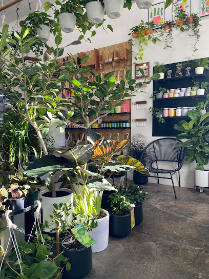 The Sunday Shop