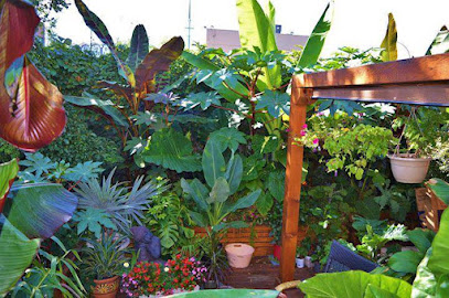 Montreal Tropical