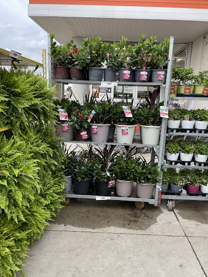 Outdoor Garden Centre at The Home Depot