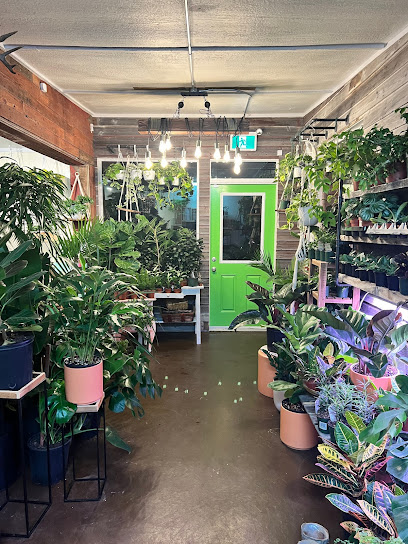 The Botanist