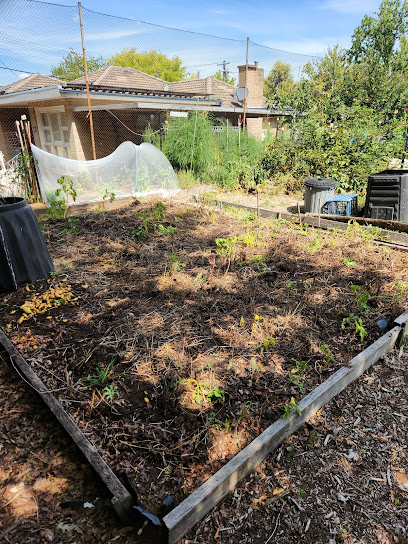 COGS O'Connor Community Garden