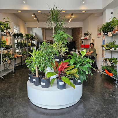 Be Leaf Plant Store