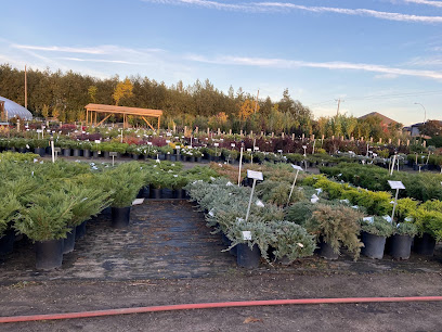 Sunstar Nurseries Ltd.