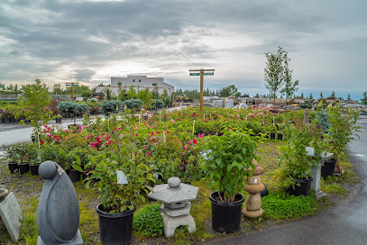 Blue Grass Nursery, Sod & Garden Centre - Rockyview County