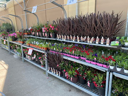 Walmart Garden Centre