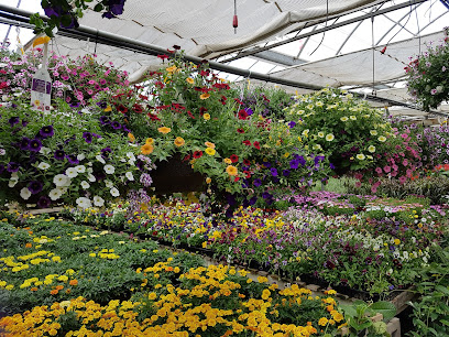 Salisbury Greenhouse