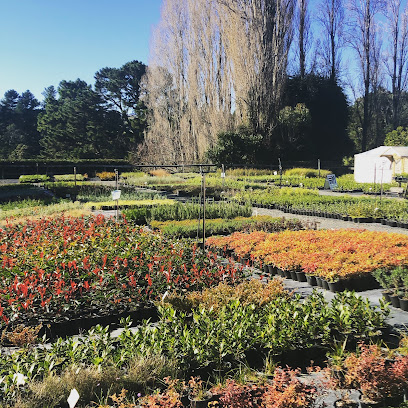 Kereru Gardens