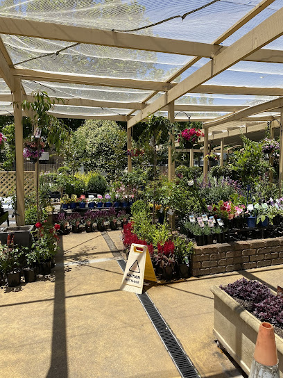 Norwood Garden Centre