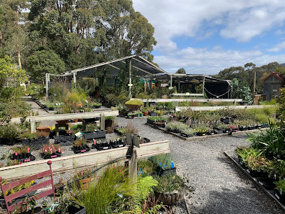 Plants of Tasmania Nursery
