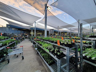 Bunnings Nerang