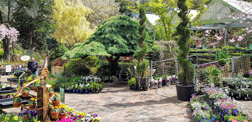 Newman's Nursery