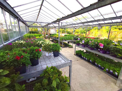 Grange Growers Garden Centre - Plants Garden Centre