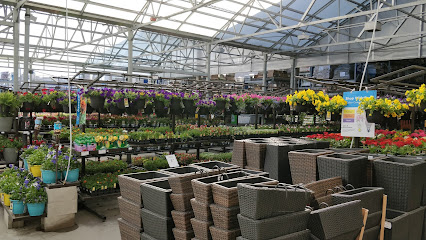 RONA+ Nepean