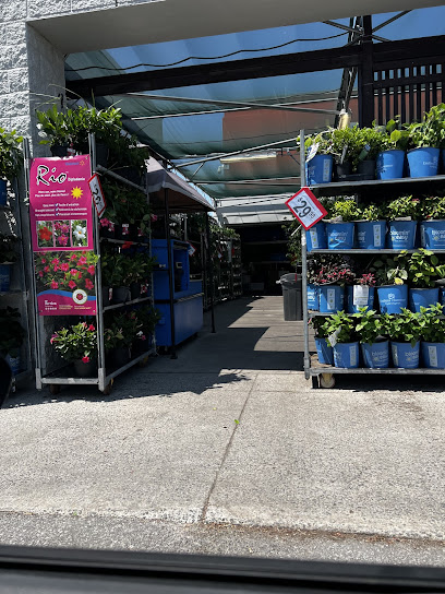 Walmart Garden Centre
