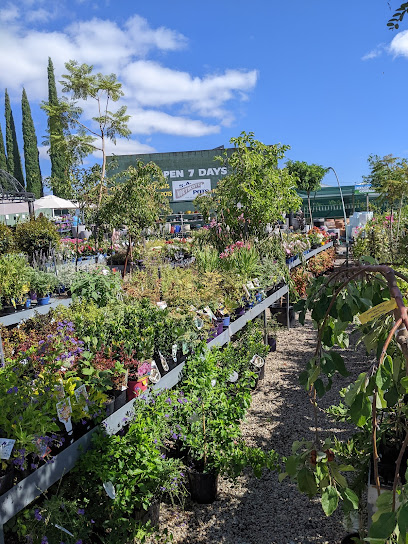 Klemzig Garden Centre