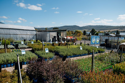 Granton Plants