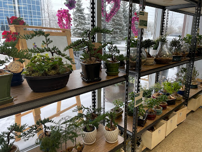 Bonsai Ottawa