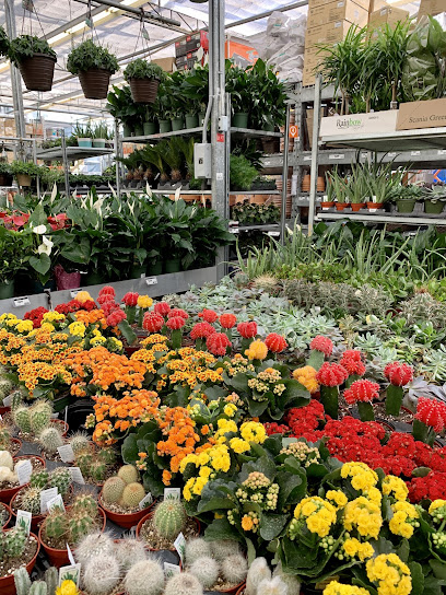 Outdoor Garden Centre at The Home Depot