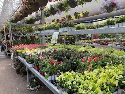 Jardin Hamel