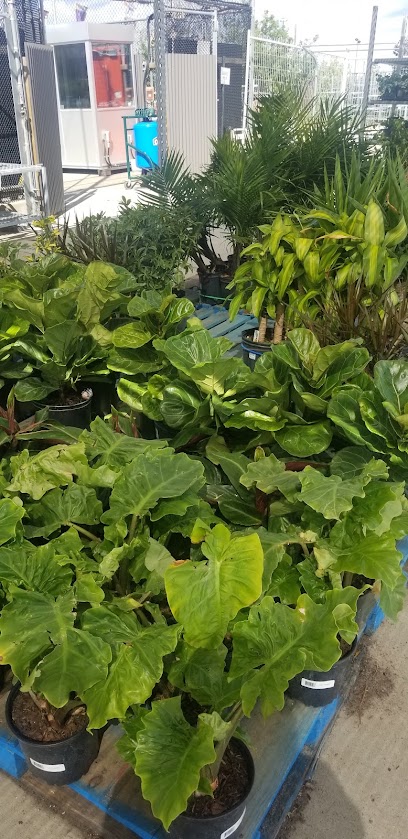 Outdoor Garden Centre at The Home Depot
