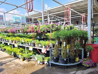 Outdoor Garden Centre at The Home Depot