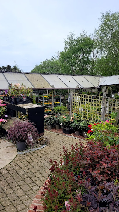 Tyne Valley Garden Centre