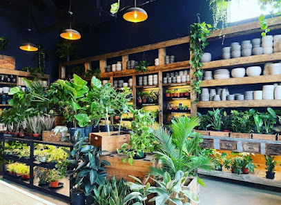 The Plant Place Marda Loop