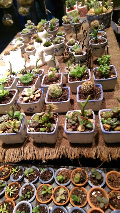 A Prickly Affair