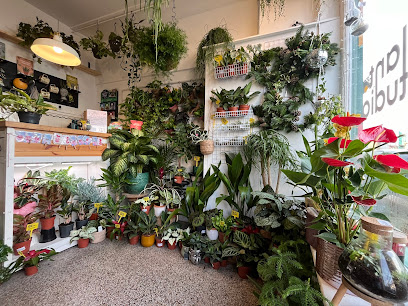Plant Studio