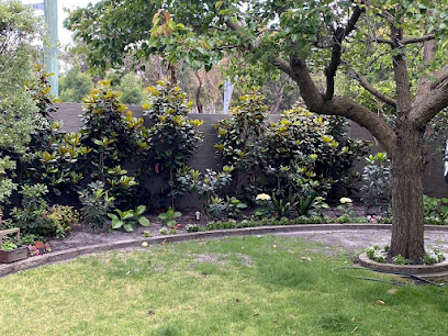 Impressive Plants