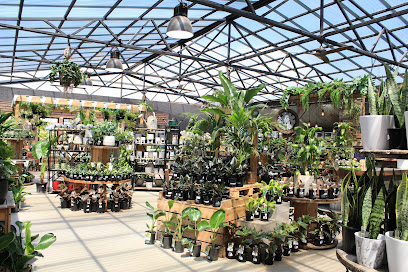 Harmony Garden Centre
