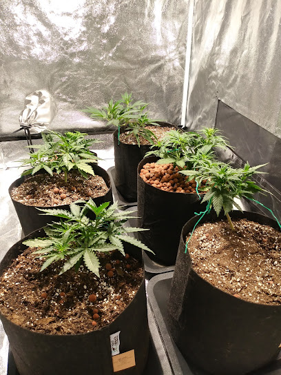 T & T Hydroponic Equipment Garden Supply