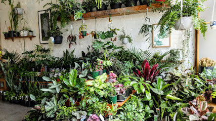 Plantsmith