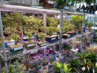 Magasin Bonsai Montréal