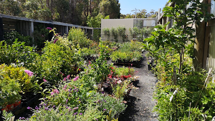 Greenhill Nursery